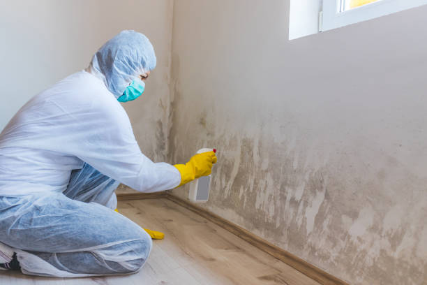 Best Crawl Space Mold Remediation  in Libby, MT