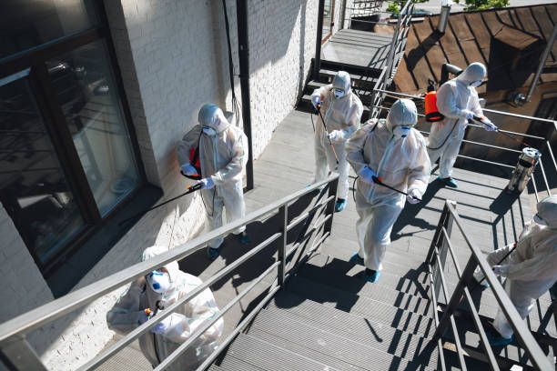 Best Mold Odor Removal Services  in Libby, MT