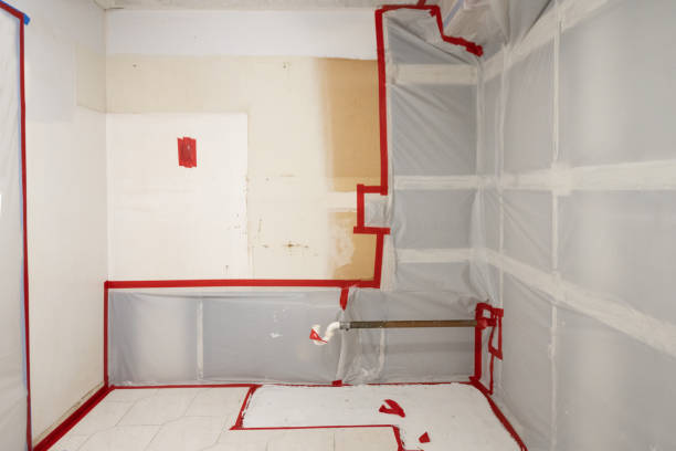 Best Asbestos and Lead Testing During Mold Inspection  in Libby, MT